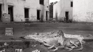 La historia de las dos 'Quintas Julietas' de Zaragoza: el jardín paradisiaco que dio nombre a un gueto y que se convertirá en parque público