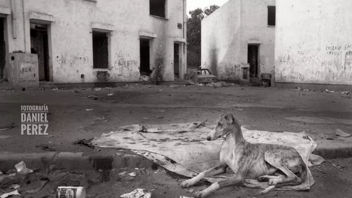 Imágenes inéditas de las dos 'Quintas Julietas' de Zaragoza