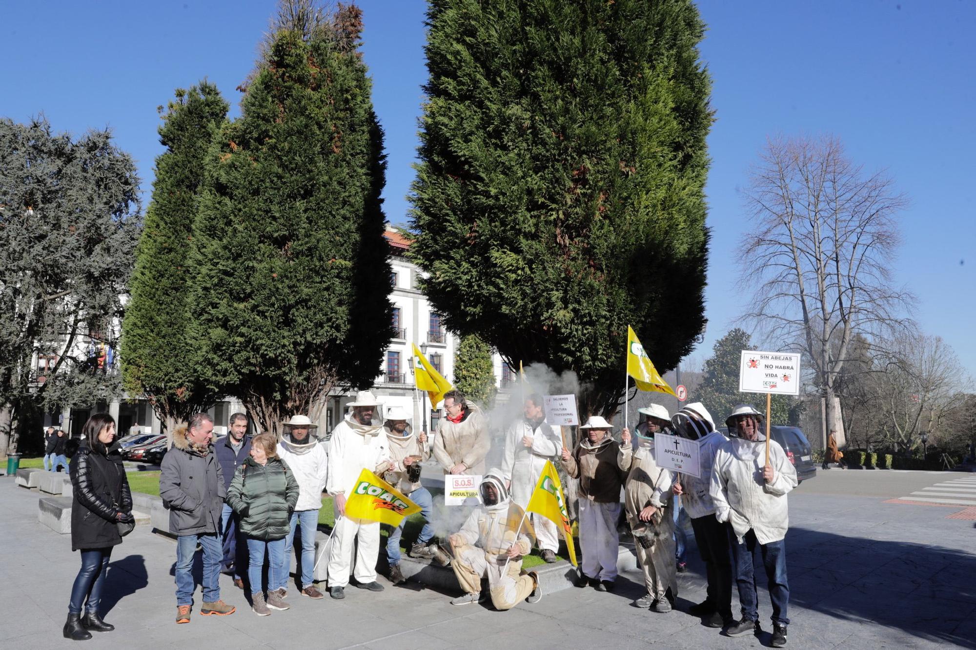 EN IMÁGENES: Así fue la protesta de apicultores en Oviedo