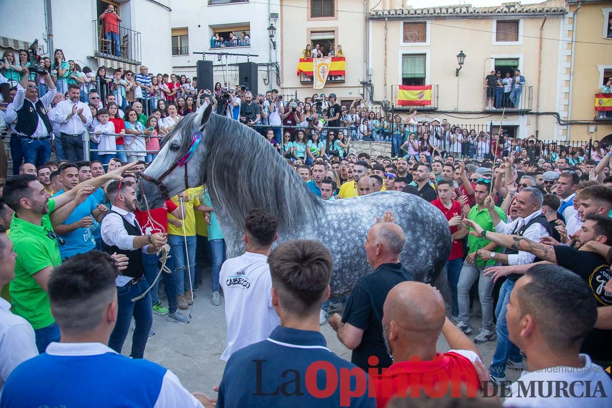 Entrega de premios del concurso morfológico de los Caballos del Vino de Caravaca