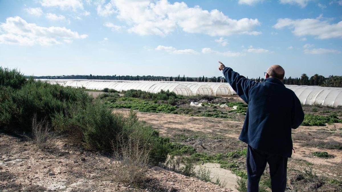 Terrenos del Camp d'Elx donde están proyectadas plantas solares