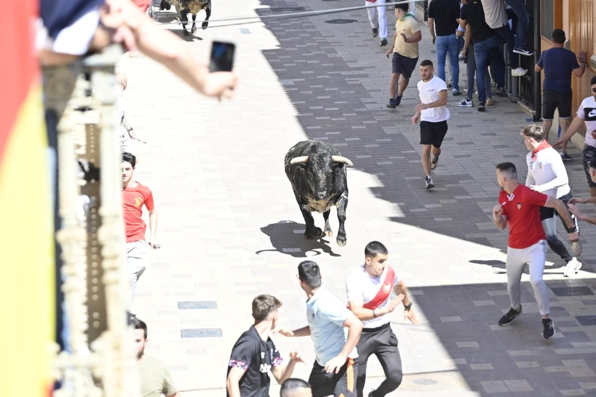 Galería | Almassora vibra con el encierro de cerriles de Gerardo Ortega