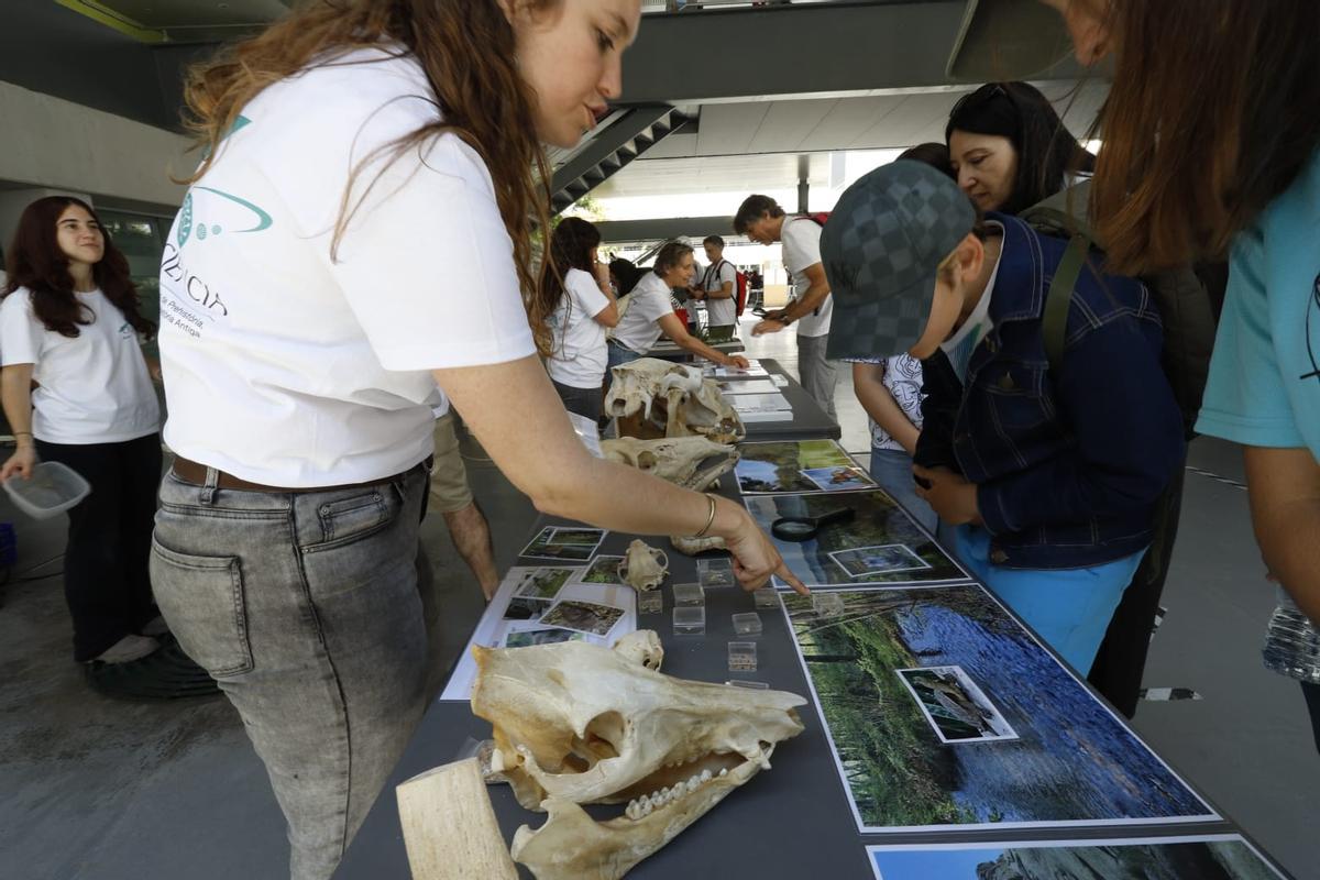Miles de jóvenes se acercan a la ciencia en la Expociencia en el Parc Científic de la UV