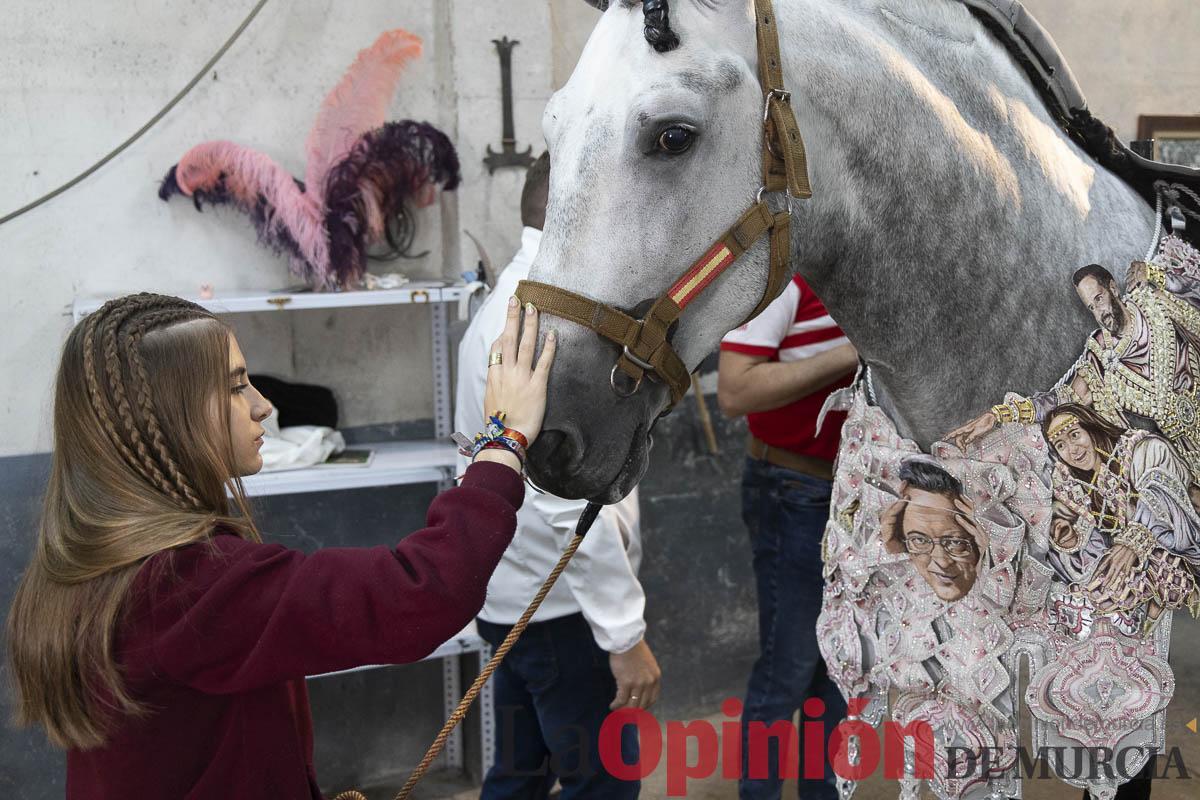 Caballos del vino/Vestir a un caballo_009