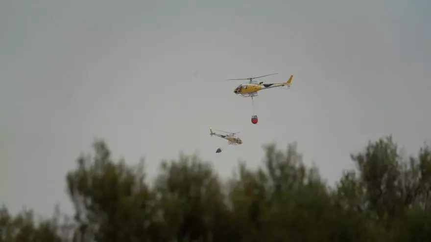Medios aéreos y terrestres se movilizan ante un incendio forestal entre Consell y Alaró