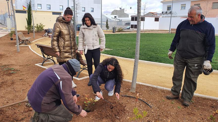 Plantados nuevos árboles en el parque Héroes del Covid