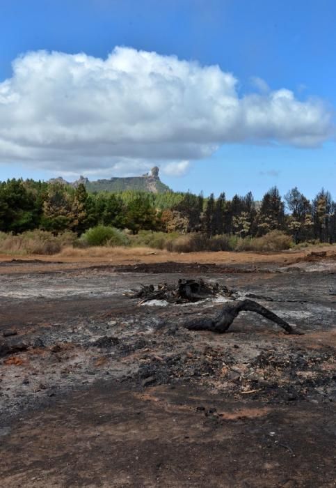 INCENDIO CUMBRE