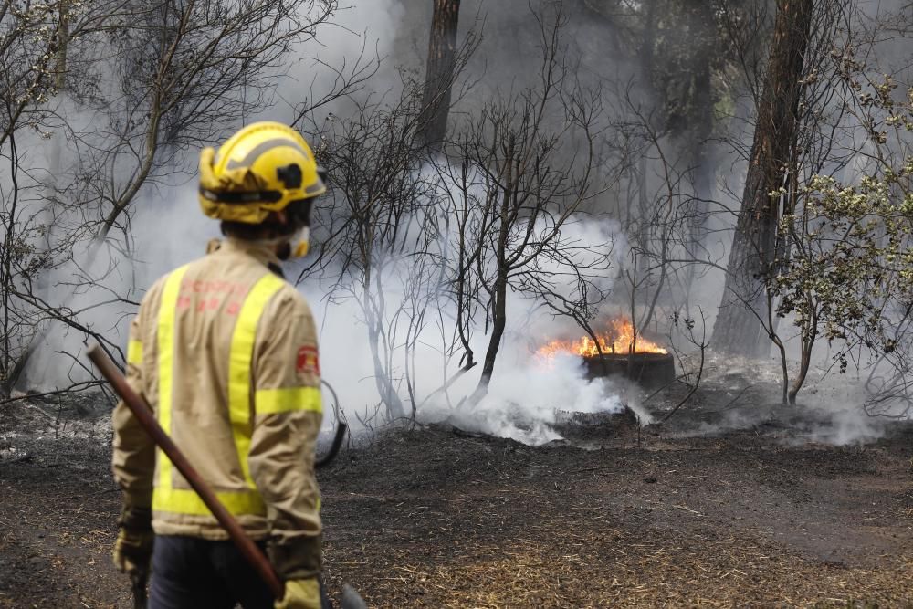 Incendi a Riudellots de la Selva