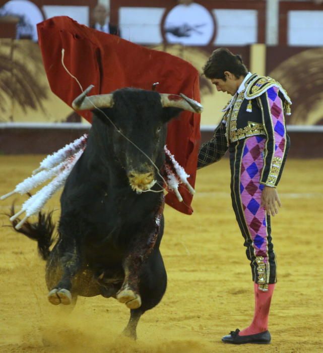 Toros | Corrida Picassiana de la Feria de Málaga