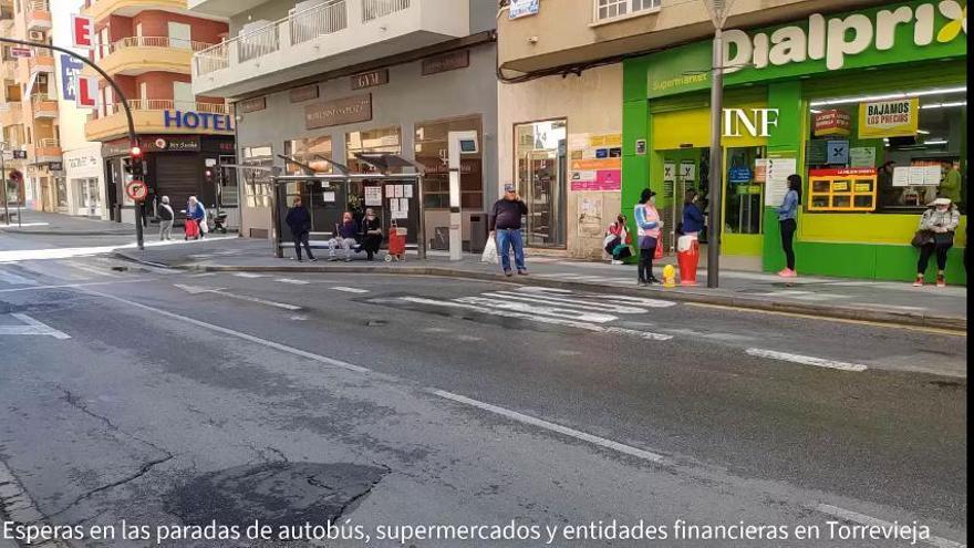 Sol, esperas en las paradas de autobús y colas en los bancos de Torrevieja