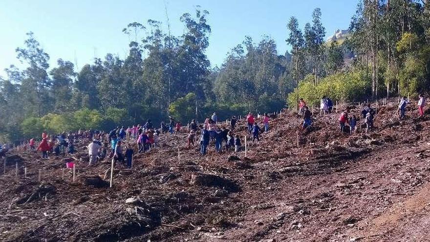 Escolares en una de las anteriores jornadas de plantación. // C.M.C.