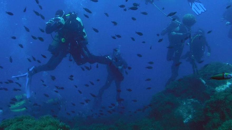 Destacan la conservación de la reserva de Cabo de Palos