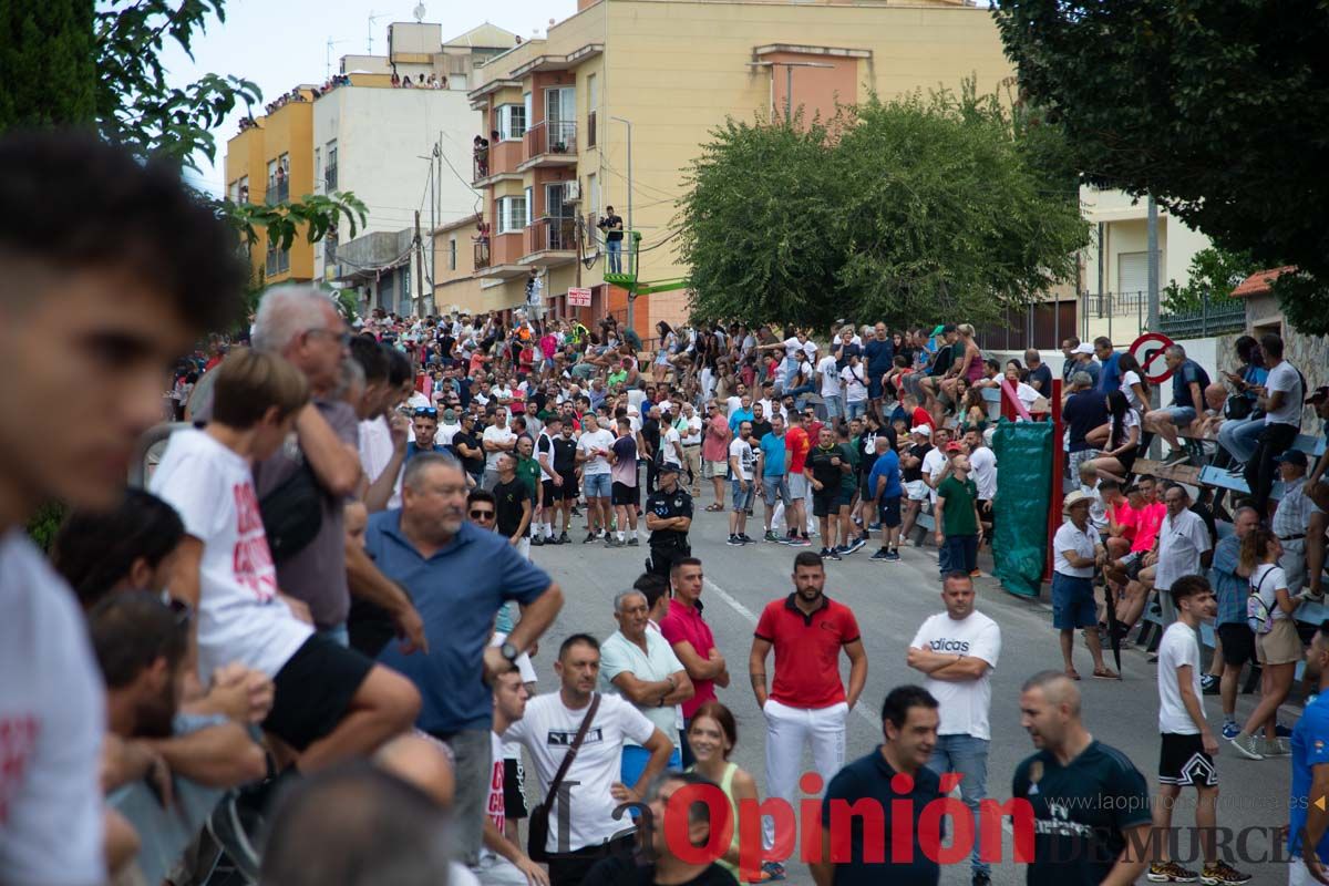 Primer encierro de la Feria del Arroz de Calasparra