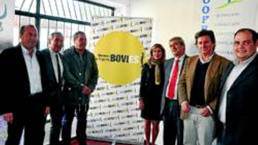 Bovies quiere ser el referente cooperativo en el sector del vacuno
