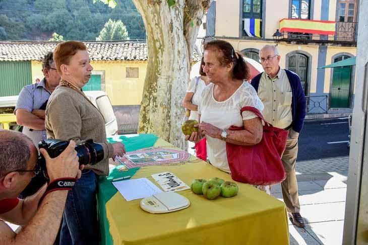 Fiesta de la manzana de Valleseco