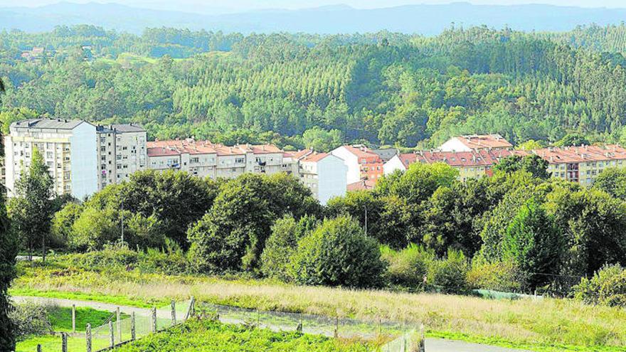 Edificios roedados de vegetación en una localidad gallega.
