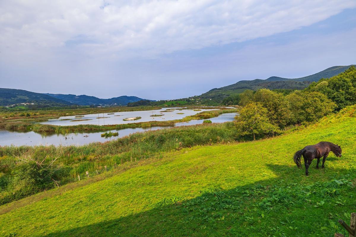 El precioso paisaje de humedales frente al Urdaibai Bird Center.