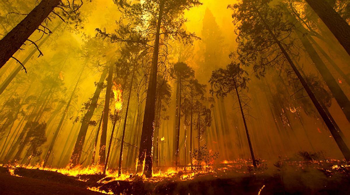 3.600 bombers continuen intentant sufocar l’incendi originat fa nou dies a l’Estat de Califòrnia.