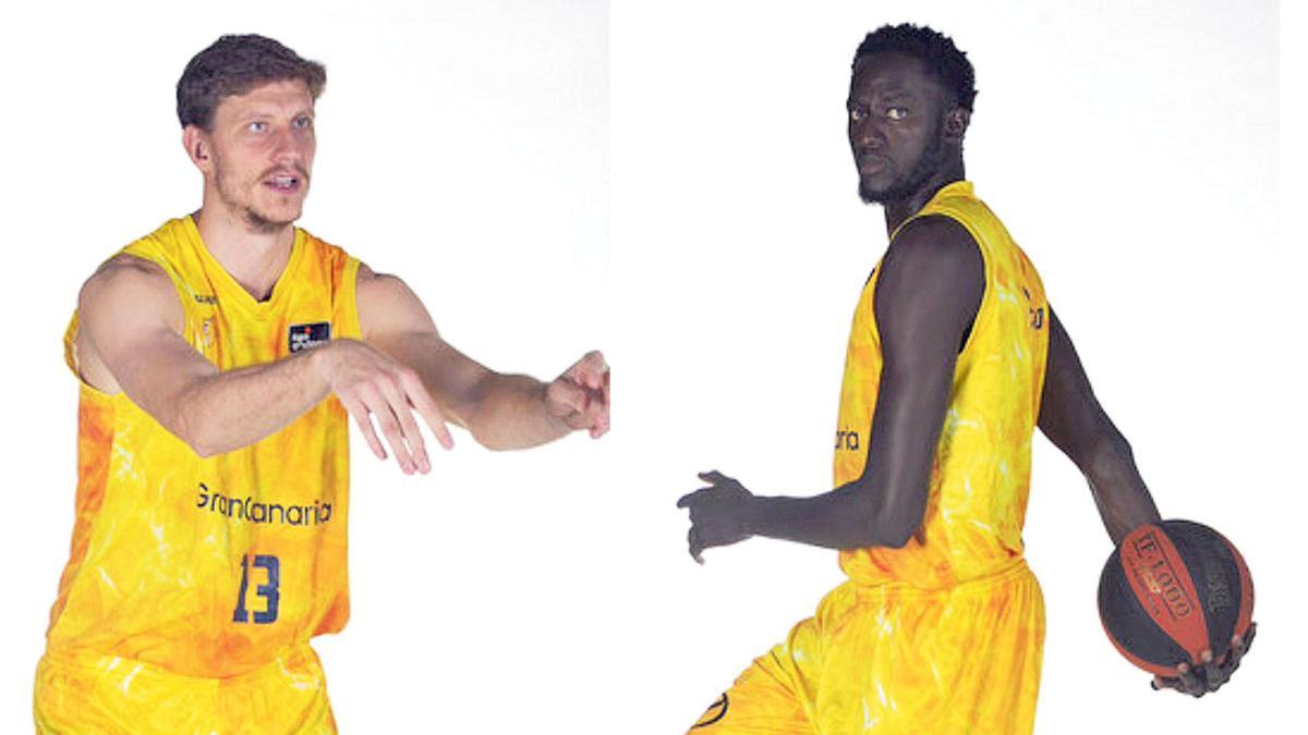 Artem Pustovyi e Ilimane Diop, jugadores del Herbalife Gran Canaria.