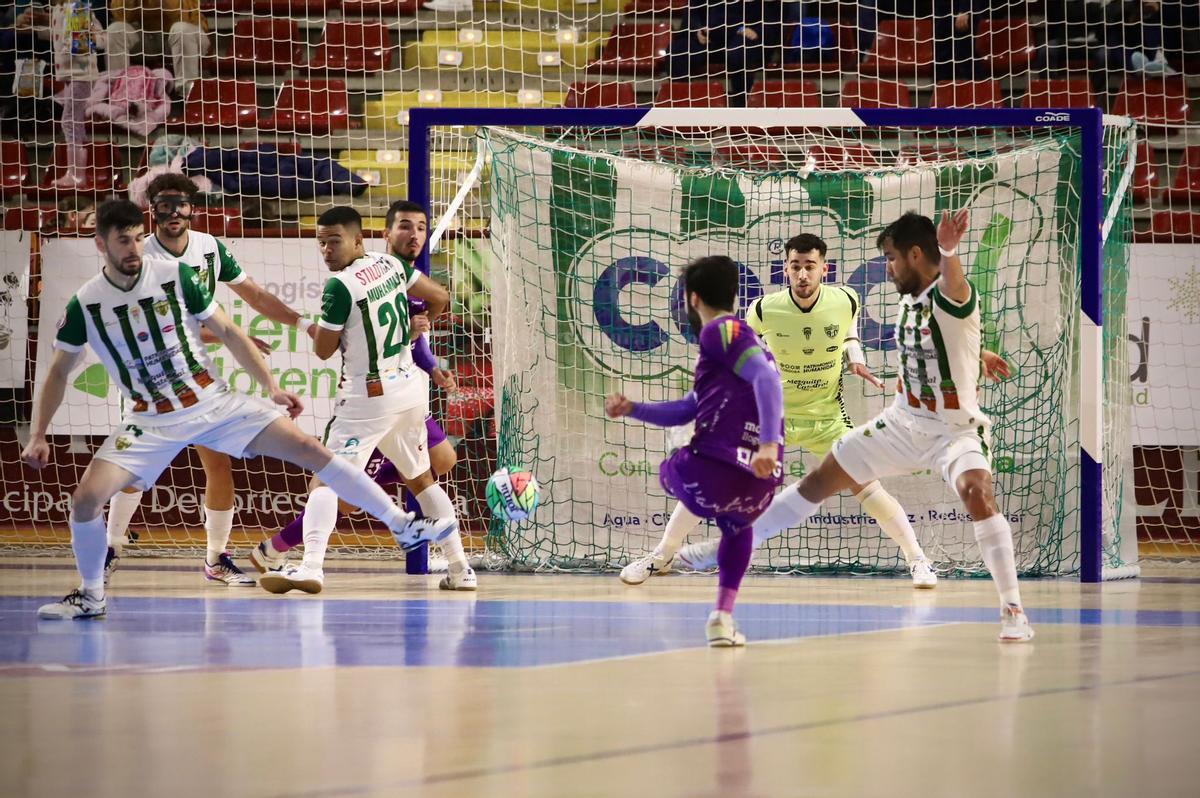 Córdoba Futsal Patrimonio-Mallorca Palma: el partido en imágenes Córdoba Futsal Patrimonio-Mallorca Palma: el partido en imágenes
