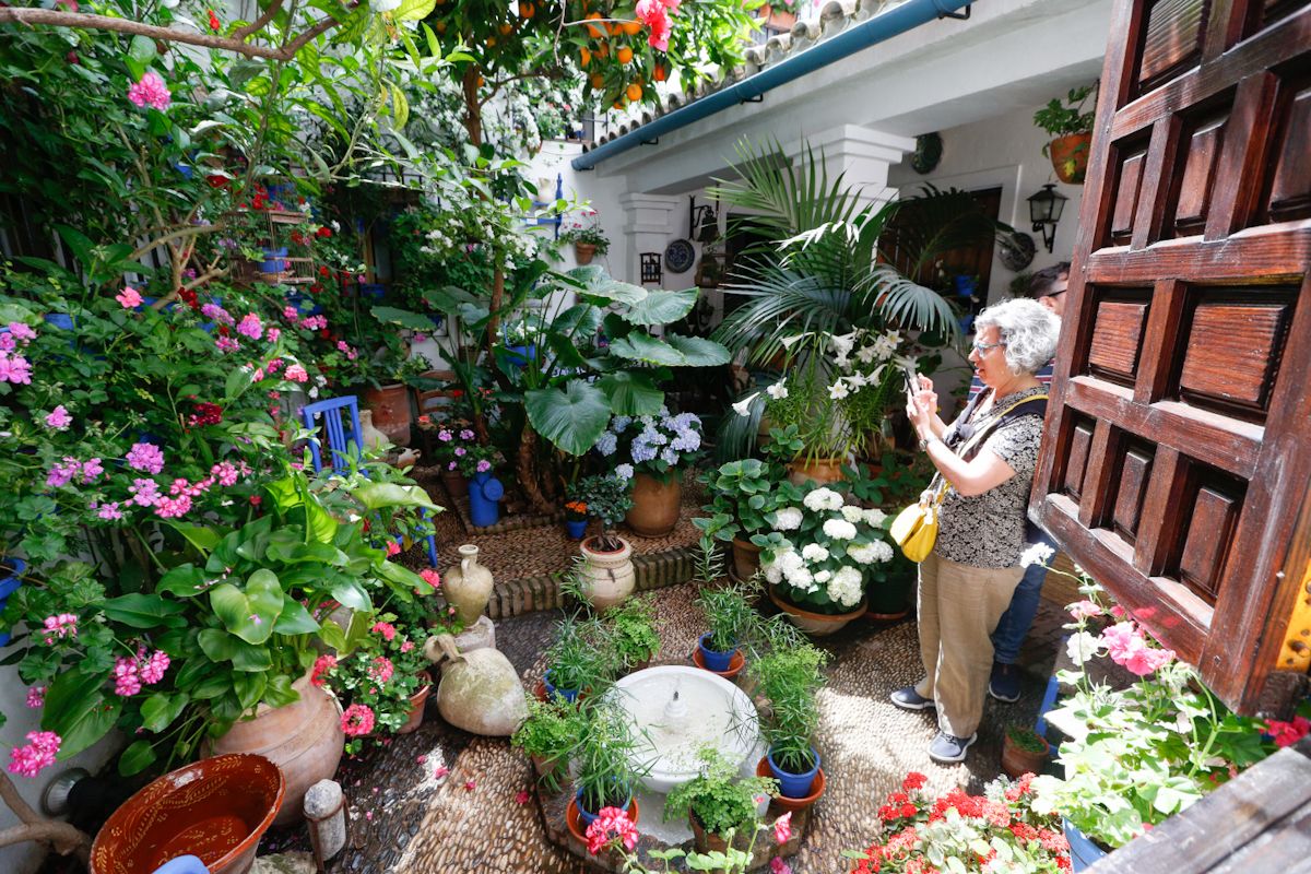 Comienza el Festival de los Patios cordobeses