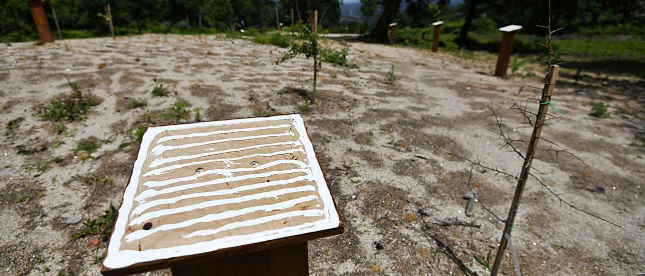 Algunos de los daños registrados en el parque forestal de A Tomba, en Campañó.   | // GUSTAVO SANTOS