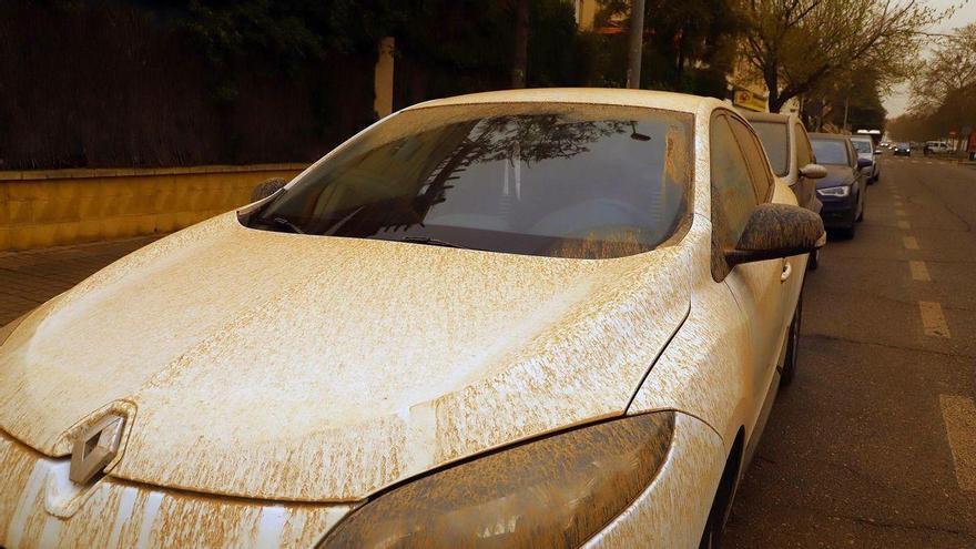 El Carnaval de Badajoz podría verse afectado por el temporal: &quot;Lo condicionará&quot;