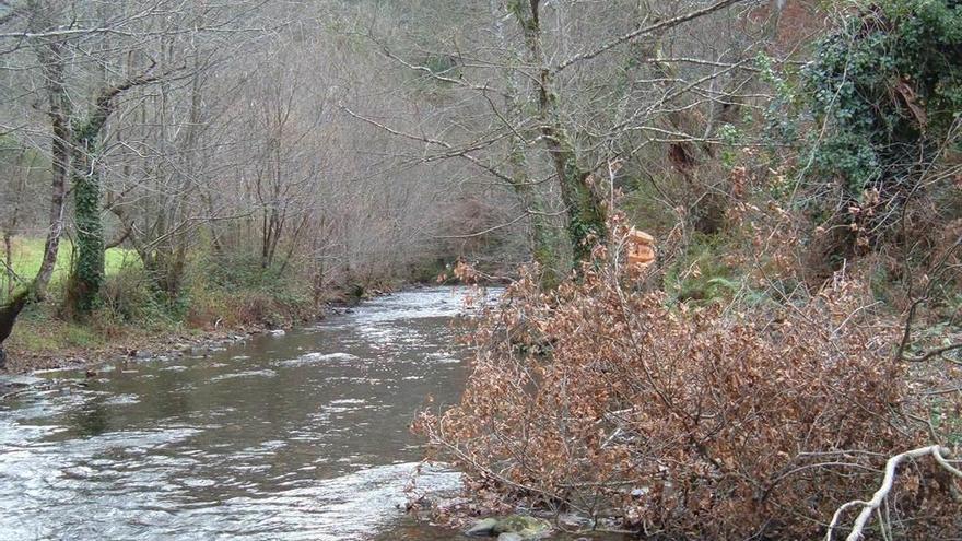 Río Bustelín, en Ibias.