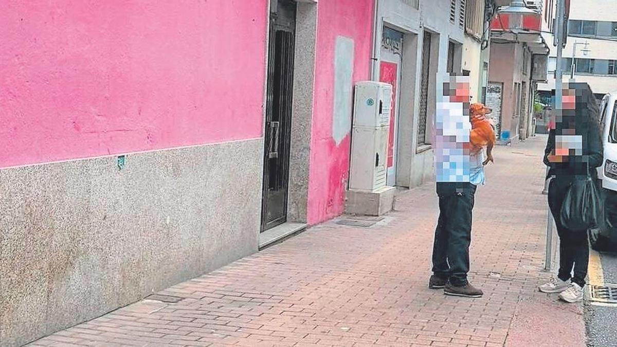 El perro que se precipitó desde un edificio en la calle Gondomar.