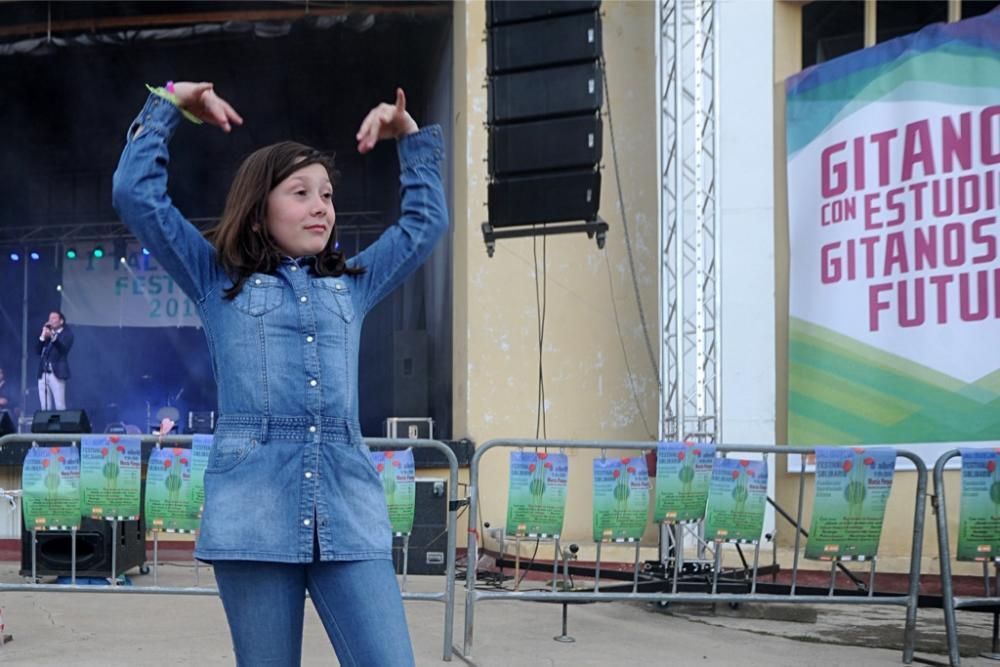 La comunidad gitana celebra su día internacional