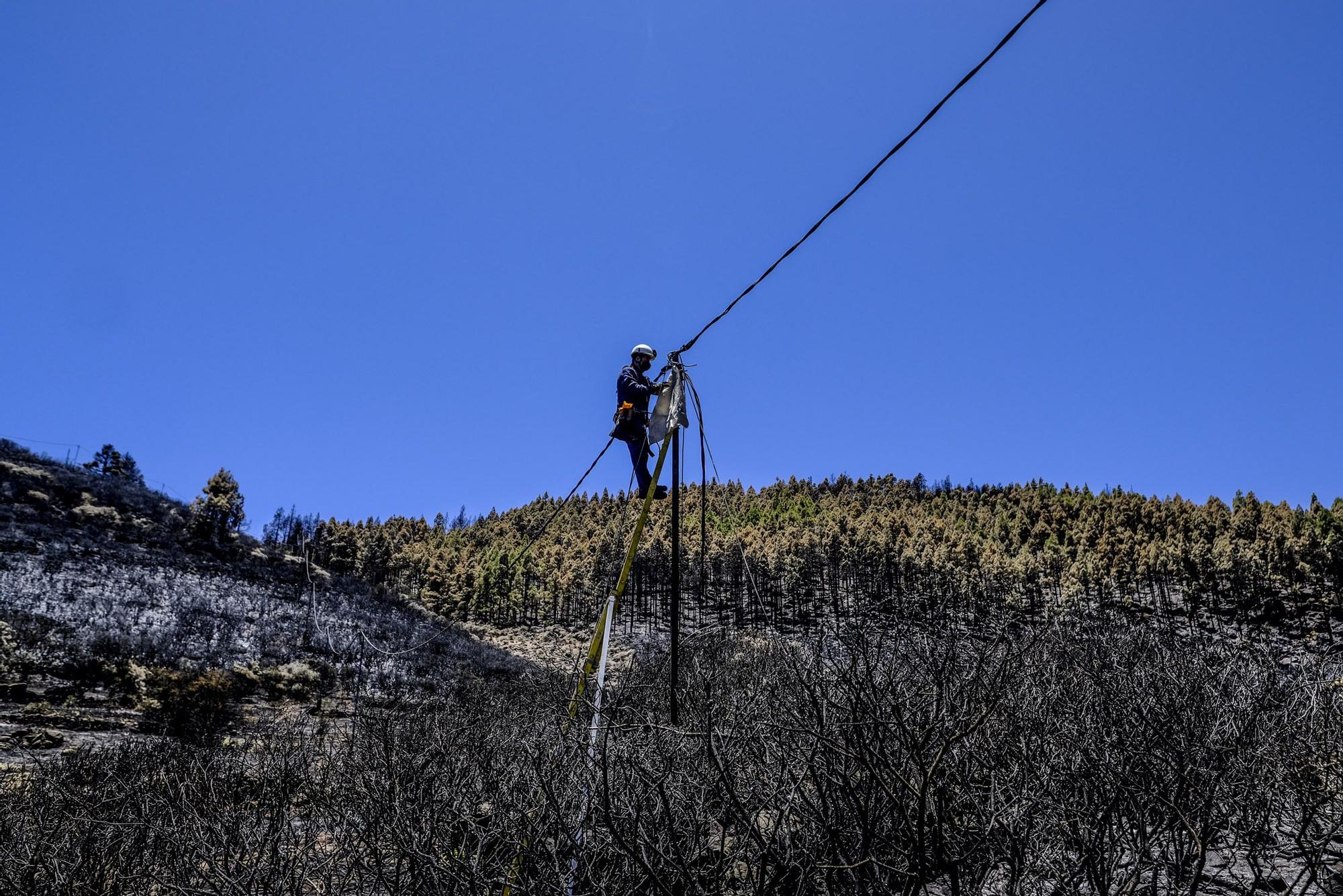 Incendio en la Cumbre de Gran Canaria: después del fuego viene la calma