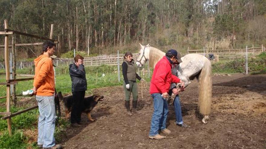 Algunos participantes del certamen celebrado hace unos meses en Moaña.  // Gonzalo Nuñez