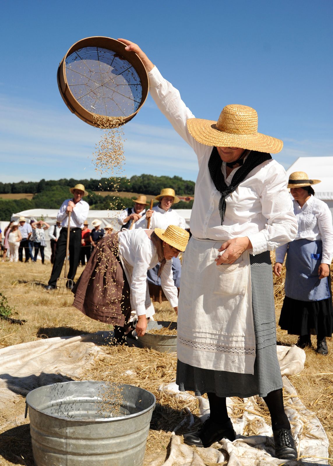 A Festa da Malla