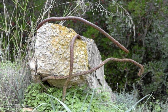 In Es Carnatge, dem letzten unverbauten Küstenabschnitt Palmas, aasten einst die Geier. Nun soll hier ein Park entstehen.