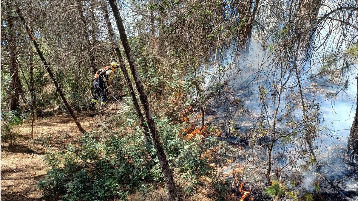 L'incendi forestal de la urbanització Pou de Merlí de Martorell va cremar prop de dues hectàrees