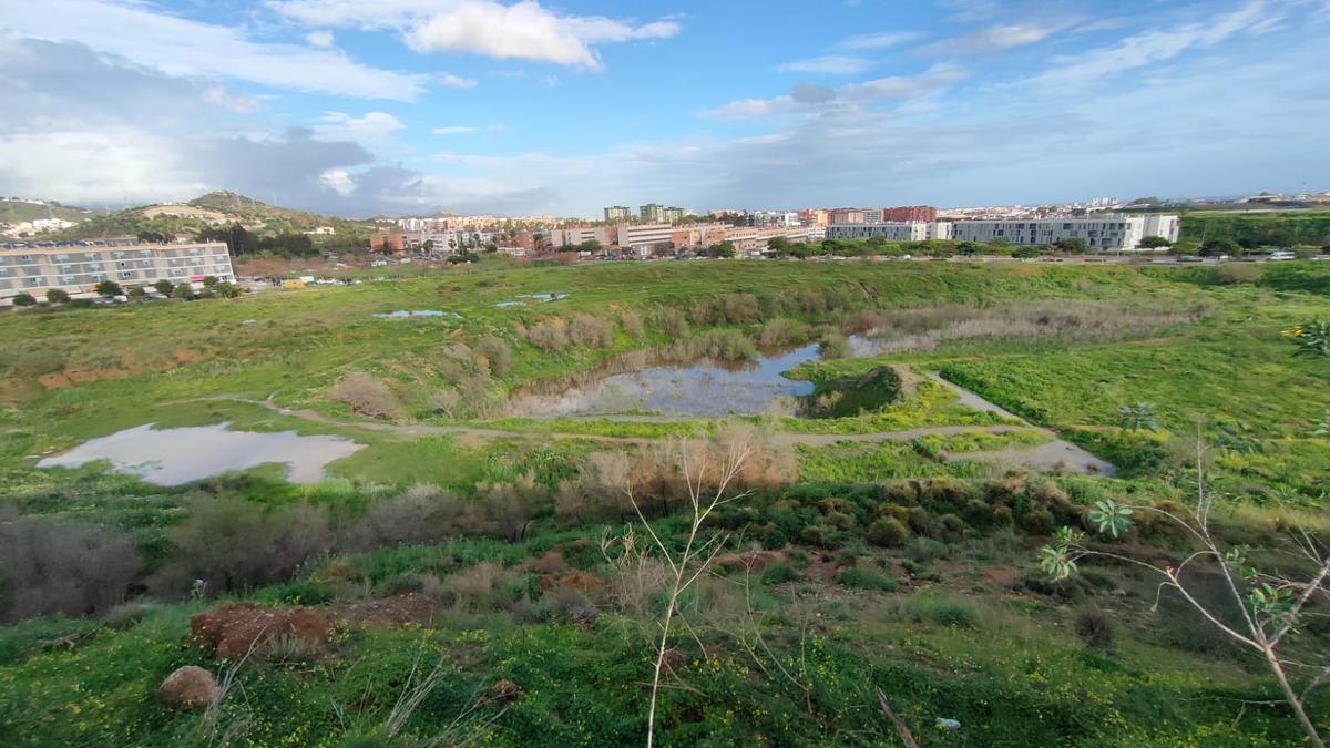 Una vista de la Laguna de Soliva, la semana pasada tras las últimas lluvias.