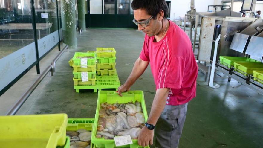 Un marinero ayer con una caja de pulpo en el interior de la lonja de Bueu.   | // GONZALO NÚÑEZ