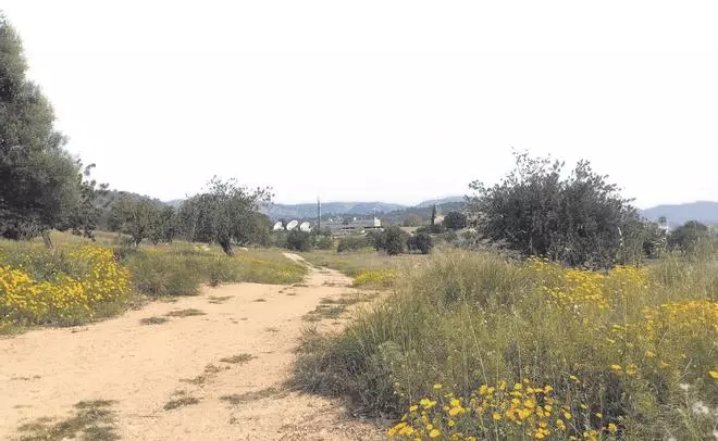 Margalides Bit