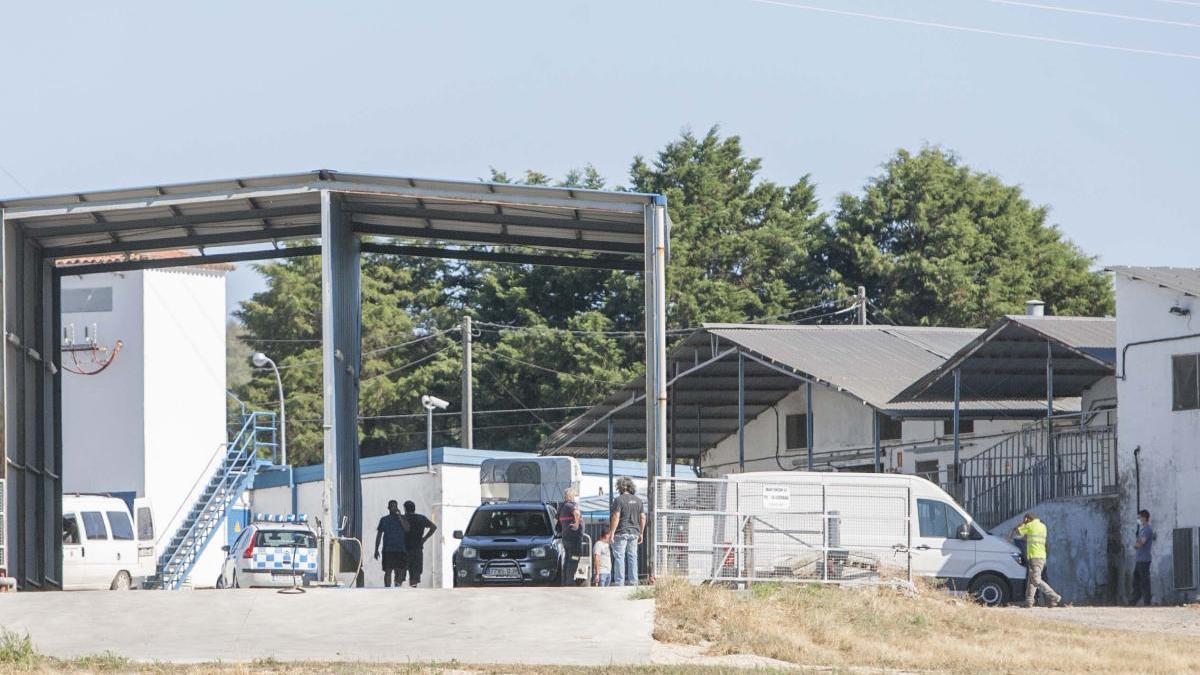 Operativo en el matadero de Botos.