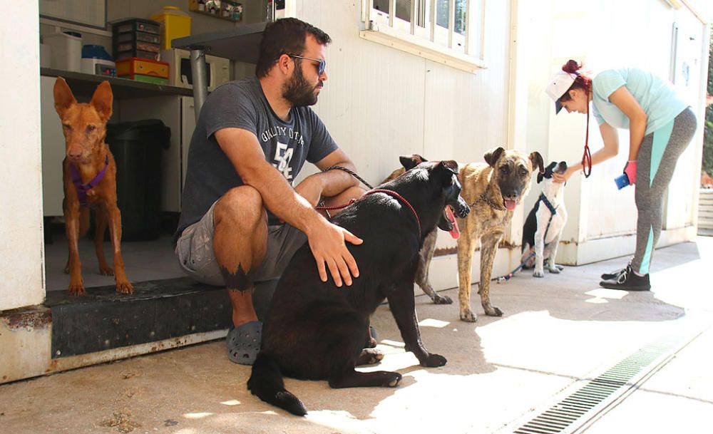 Visita a la Protectora de Animales y Plantas de Málaga