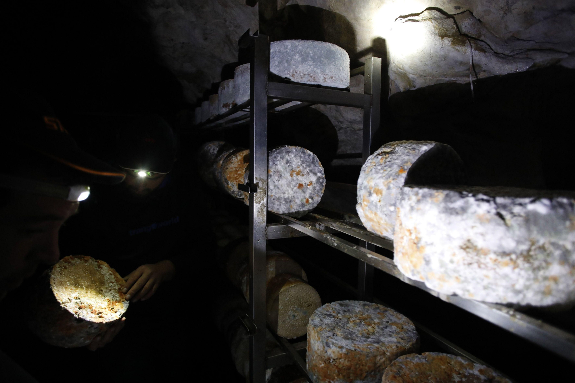 Así se elabora el gamonéu del Puertu: de la cueva a la mesa.