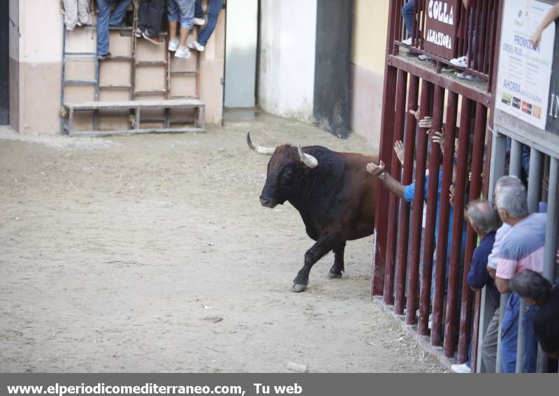 GALERIA DE FOTOS -- Almassora despide unas fiestas con mucho ambiente