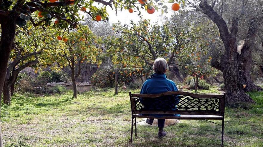 En febrero se constituyeron en Aragón 91 fincas rústicas por 6.802 euros