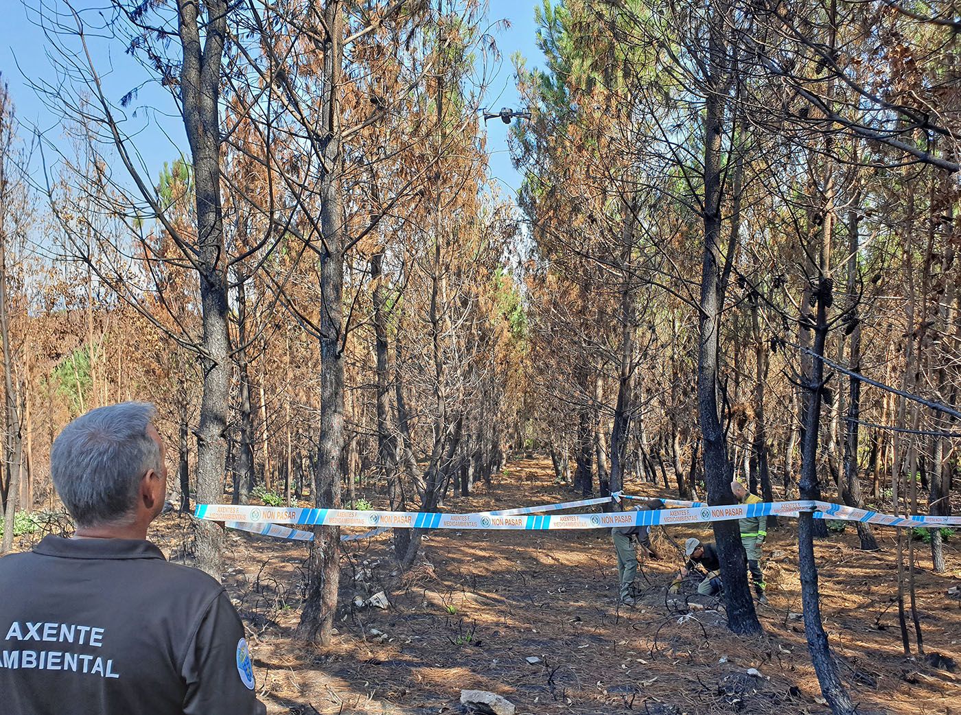 Rastreadores de incendios