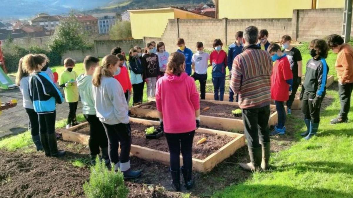 Escolares del colegio Bernaldo Gurdiel de Grado, en el huerto.