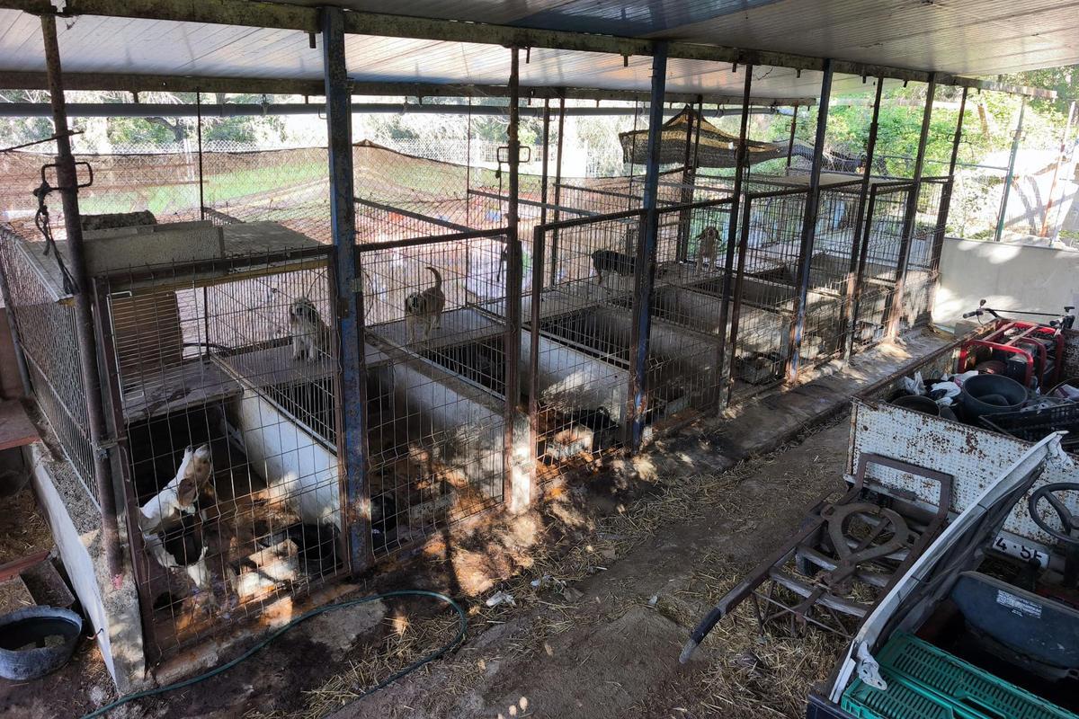 Una de les estances de la canera