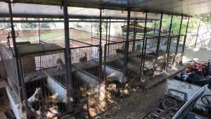 Una de les estances de la canera