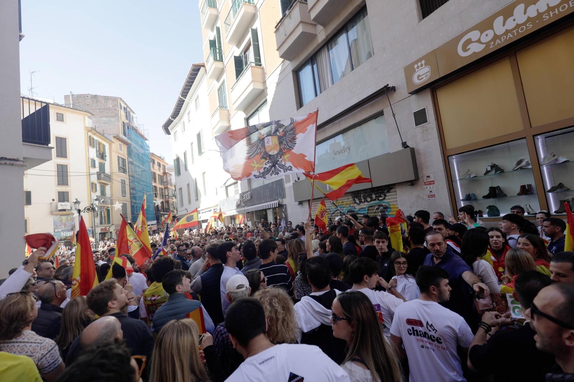 FOTOS │Manifestación en Palma contra la amnistía - Diario de Mallorca