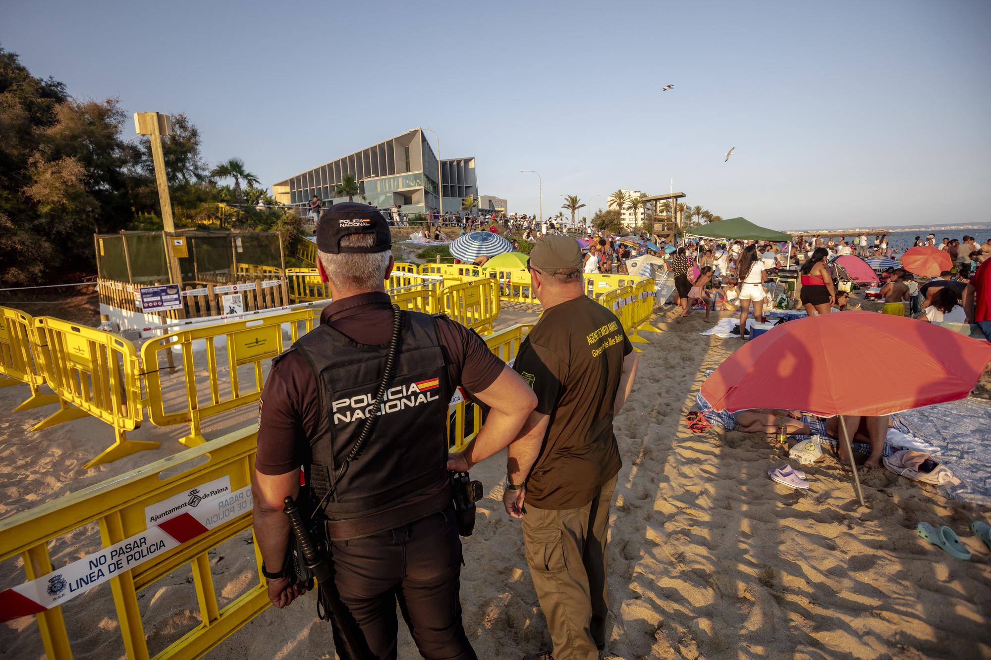 Nit de Sant Joan 2023 auf Mallorca: So magisch war die Nacht am Strand von Palma