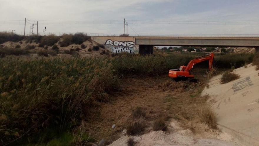 El Campello desbroza el río Seco para prevenir inundaciones y plagas de mosquitos